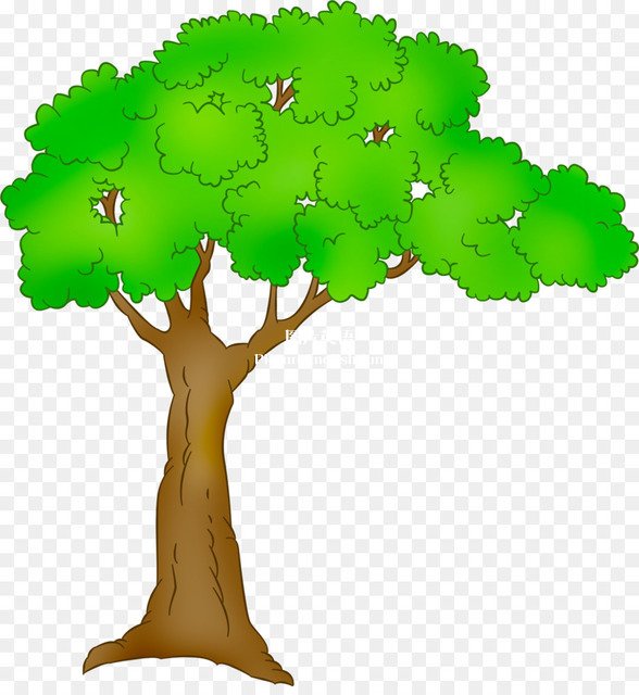tree 图片英语 pictureenglish